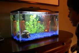 Aquariums & Terrariums